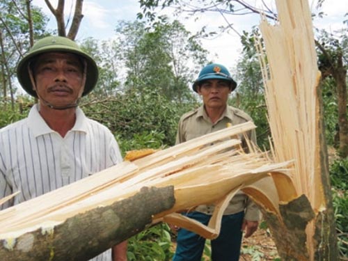 Nước mắt 'vàng trắng' sau siêu bão