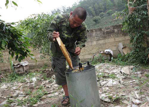 Nuôi ong mật ở Cây Thị