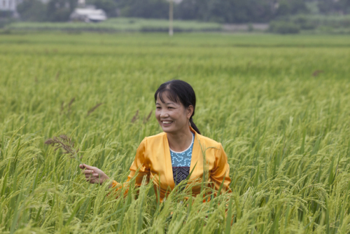 Phấn đấu đưa nông nghiệp, nông dân và nông thôn cả nước hội nhập và phát triển