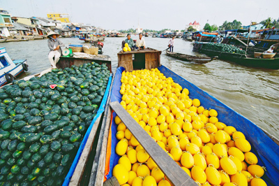 Phát triển thương hiệu đối với ngành hàng trái cây khu vực Đồng bằng sông Cửu Long