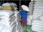 Philippines mở đấu thầu 187.000 tấn gạo