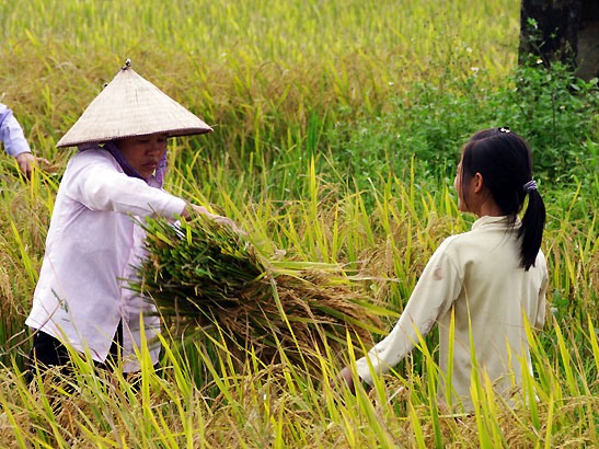 Sống vui khỏe trên mảnh đất hình chữ S