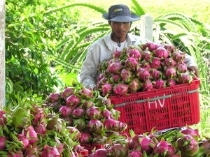 Tăng cường hợp tác nông nghiệp giữa Việt Nam – Nhật Bản