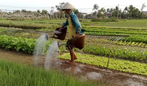 Tháo “nút thắt” để kinh tế nông thôn phát triển