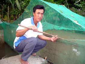 Thoát nghèo nhờ ươm trứng nước