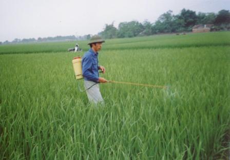 Thuốc trừ sâu từ thảo mộc