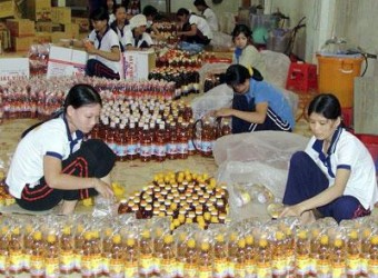 Thương hiệu nước mắm Bình Định: Khôi phục thời hoàng kim?