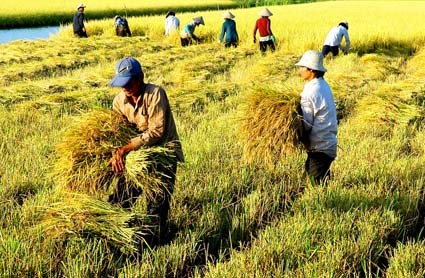 Tìm tên cho nông sản ĐBSCL