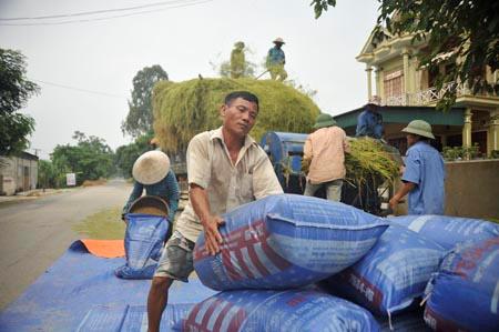 Tôn vinh nhiều hơn nữa