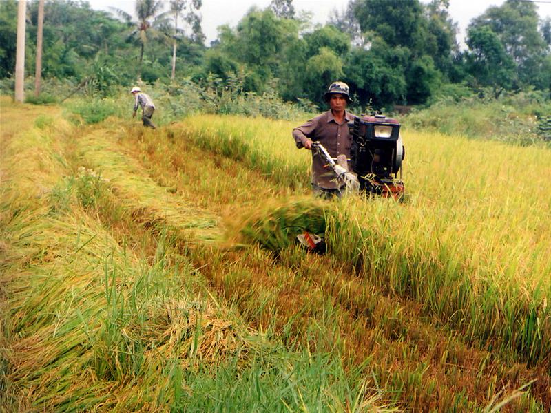Tổng quan về cổ phiếu ngành nông nghiệp