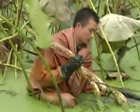 Trung Quốc: Củ sen giúp nông dân làm giàu