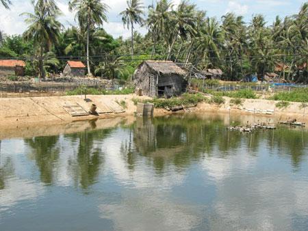 Từ tên cướp thành chủ trang trại tiền tỷ