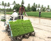 Ứng dụng khoa học kỹ thuật nhằm đảm bảo an ninh lương thực