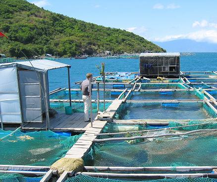 Việt Nam hỗ trợ Xri Lanca phát triển ngành thủy sản
