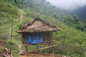 Xóm 'người rừng'