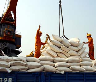 Xuất khẩu gạo: Siêu lợi nhuận vào tay doanh nghiệp, nông dân thiệt thòi