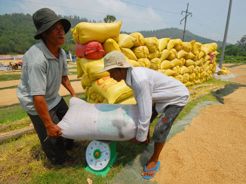 Xuất khẩu gạo: Thị trường truyền thống ế ẩm