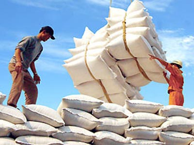 Xuất khẩu gạo Việt Nam 2013 dự báo giảm còn 7,2 triệu tấn