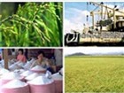 Xuất khẩu nông sản tiếp tục giảm