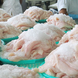 Xuất khẩu thủy sản có thể đạt 6,5 tỷ USD