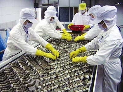Xuất khẩu tôm năm 2013 có thể đạt 2,5 tỷ USD