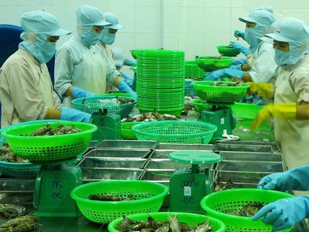 Xuất khẩu tôm vào Nhật sẽ chỉ tăng 3%