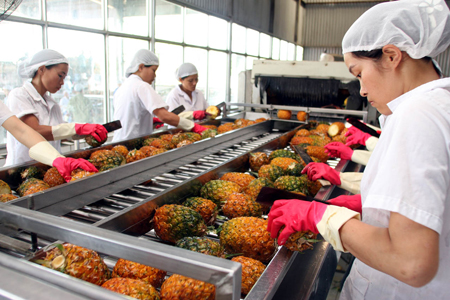 Xuất khẩu trái cây tăng vọt